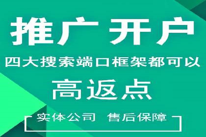 SEM服务案例：助力企业拓展海外市场